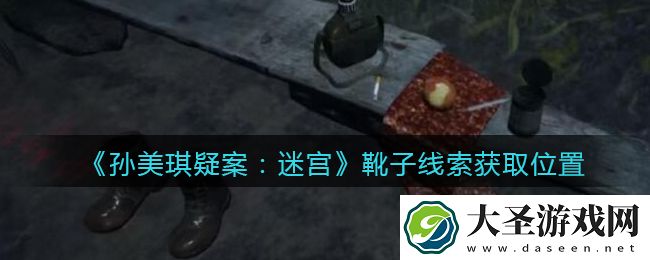 孙美琪疑案迷宫攻略靴子在哪里