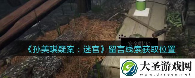 孙美琪疑案迷宫攻略留言在哪里