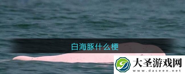 白海豚是什么梗