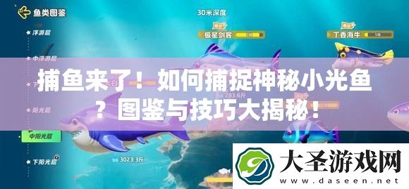 捕鱼来了！如何捕捉神秘小光鱼