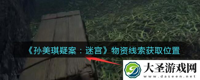 孙美琪疑案迷宫攻略物资在哪里