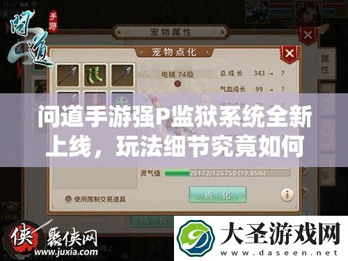 问道手游强P**系统全新上线