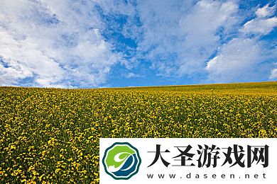 夫妻离婚前几天还会同房吗｜夫妻离婚前夕