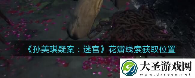 孙美琪疑案迷宫攻略花瓣在哪里