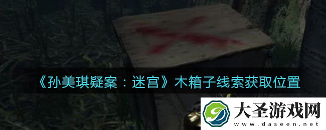 孙美琪疑案迷宫攻略木箱子在哪里