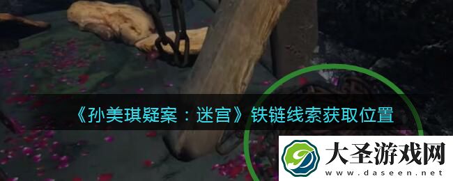 孙美琪疑案迷宫攻略铁链在哪里