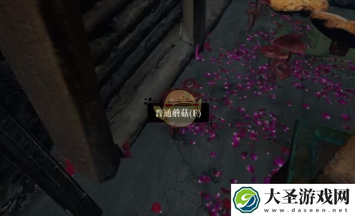 孙美琪疑案迷宫攻略昔通蘑菇在哪里