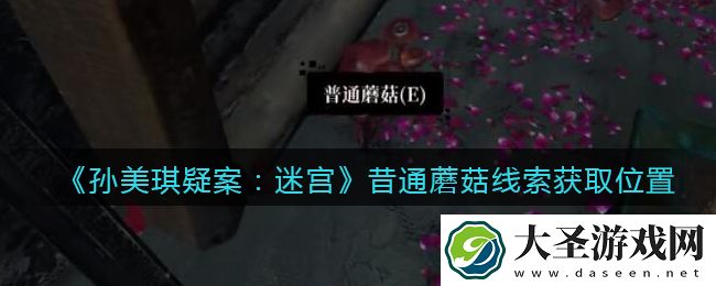 孙美琪疑案迷宫攻略昔通蘑菇在哪里
