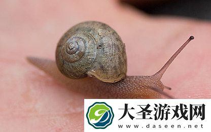 农夫成人ⅤA视频在线导航｜农夫成人ⅤA视频导航引领潮流