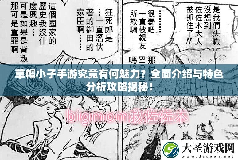 草帽小子手游究竟有何魅力