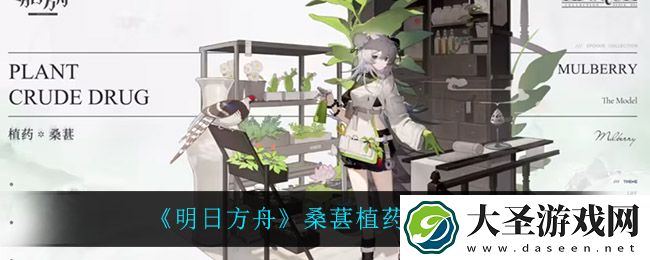 明日方舟桑葚植药怎么样