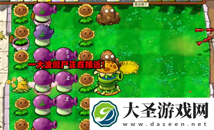 pvz杂交版英雄模式公主驾到通关详解