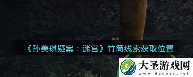 孙美琪疑案迷宫攻略竹筒在哪里