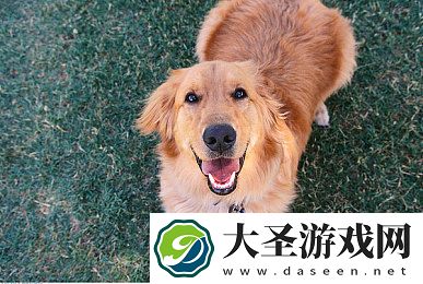91精品国产张津瑜