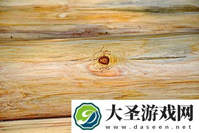 果冻传媒网｜年轻人的创意新天地