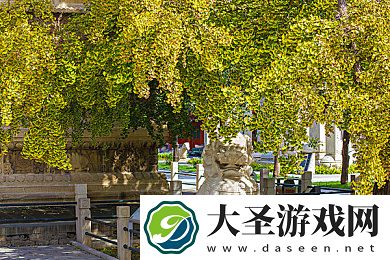 免费在线观看妈**朋友｜免费在线观影新风尚