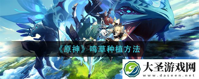 原神鸣草怎么种