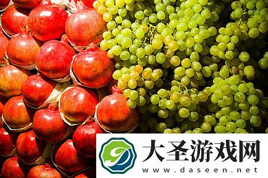 ios轻量版app下载免费