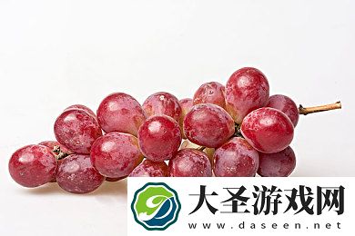 潘金莲复仇记高清在线播放｜高清惊悚再现