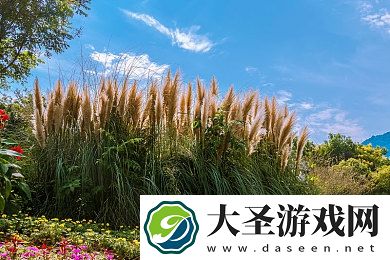 漫步者煲音箱软件