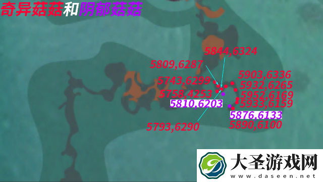 创造与魔法奇异菇菇多久刷新