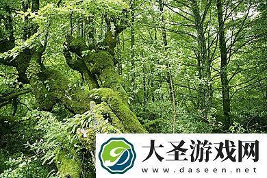 汉服白丝下课教室**被发现｜汉服之谜