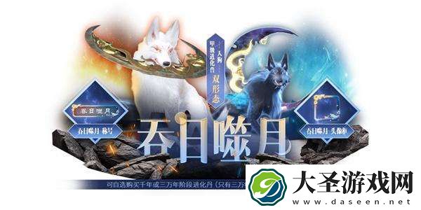 妄想山海神识之元能用几次