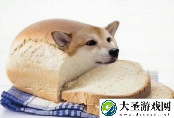 面包狗表情包大全
