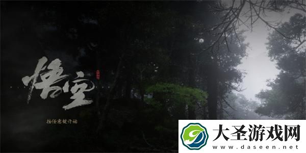 黑神话悟空风灵月影怎么用