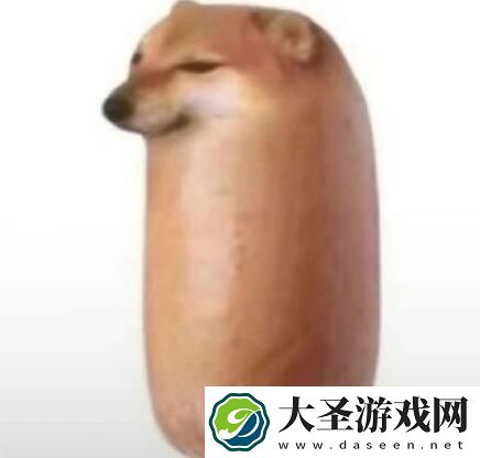 面包狗香肠狗表情包原图