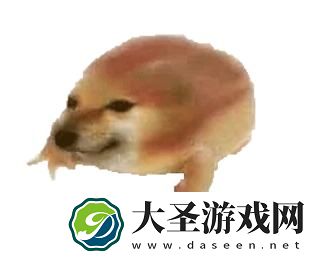 面包狗表情包大全