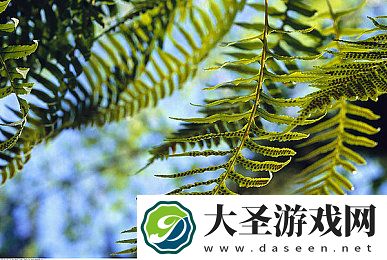 穿裙子上体育课压腿怎么办