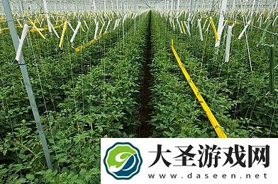 Z0oZo0人善之交人与禽