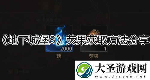 地下城堡3魂之诗荧果获取途径一览