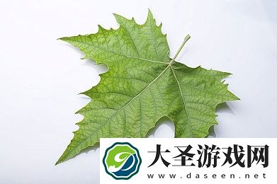 ai绘画裸体啪啪黄A片｜AI艺术创作边界挑战