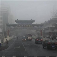 99骚视频
