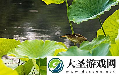 男人和女人在一起差差轮滑