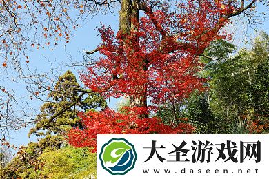 聚合福利
