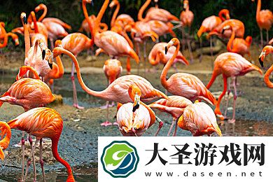 黄色软件app下载3.0.3免费2023｜焕新体验
