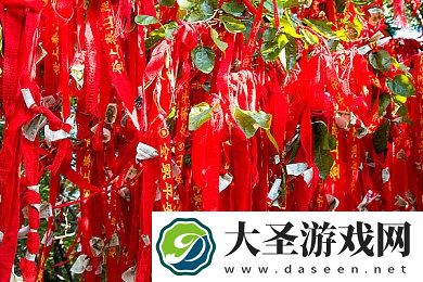 chinese东北体育生篮球｜东北篮球雄风