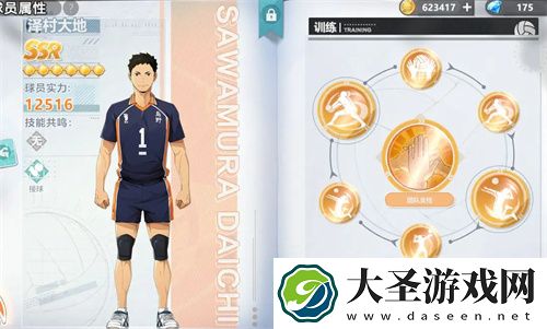 排球少年新的征程角色养成攻略介绍
