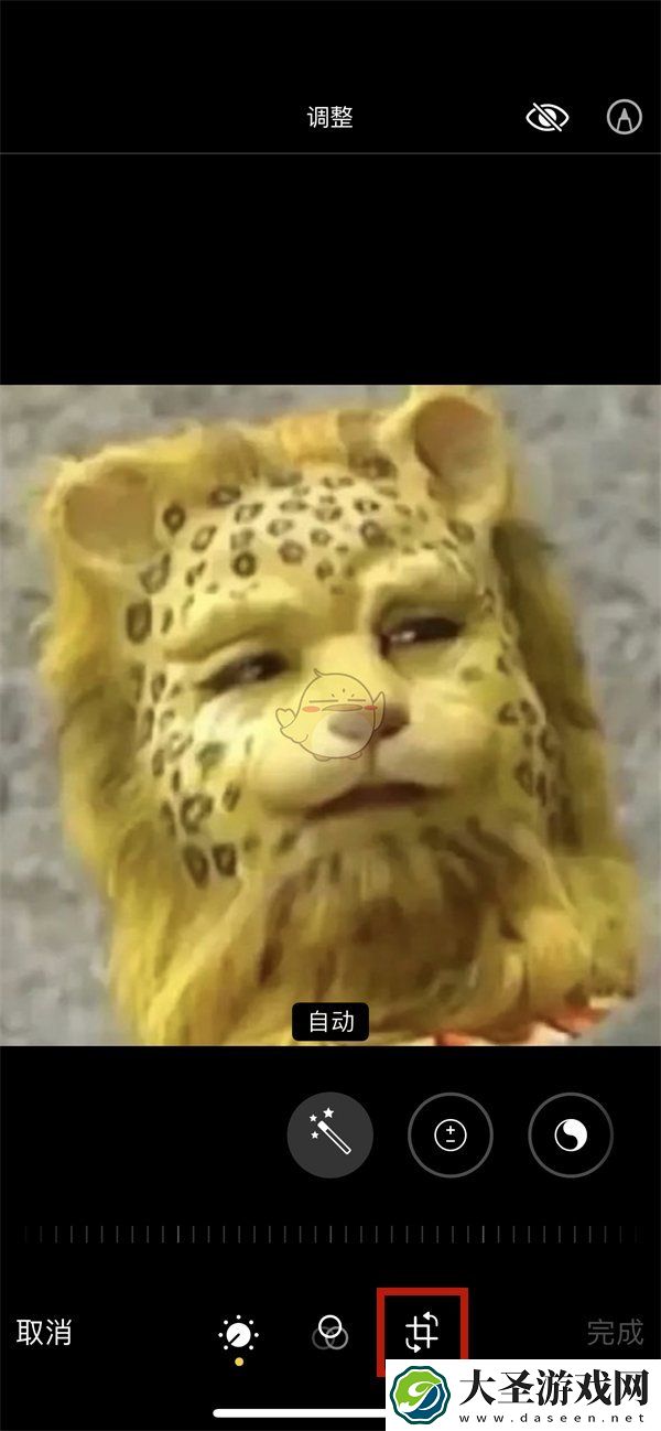 苹果相册怎么镜像照片