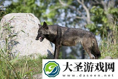 911爆料网官网入口|举报探索
