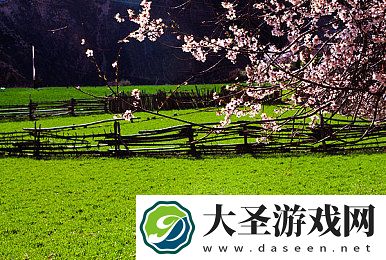 ****一区二区三区四区|****四区探险