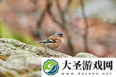 爱情岛亚洲论坛线路在线观看｜爱情岛亚洲论坛直播开启