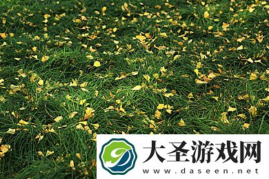男人和女人在一起差差轮滑