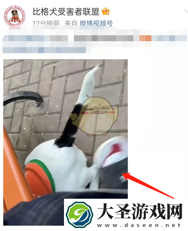 微博怎么添加到稍后再看