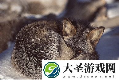 麻豆**引诱水电工｜麻豆已婚妇女涉嫌引诱水电工