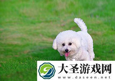 ***一卡二卡三卡