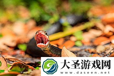 聚合福利